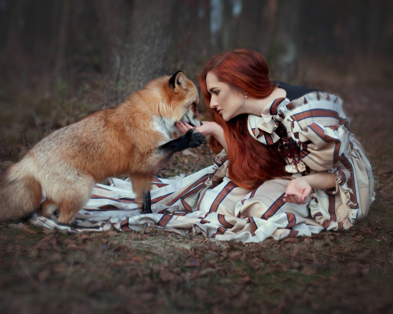 Red Fox в красивом чувственном видео с любимым