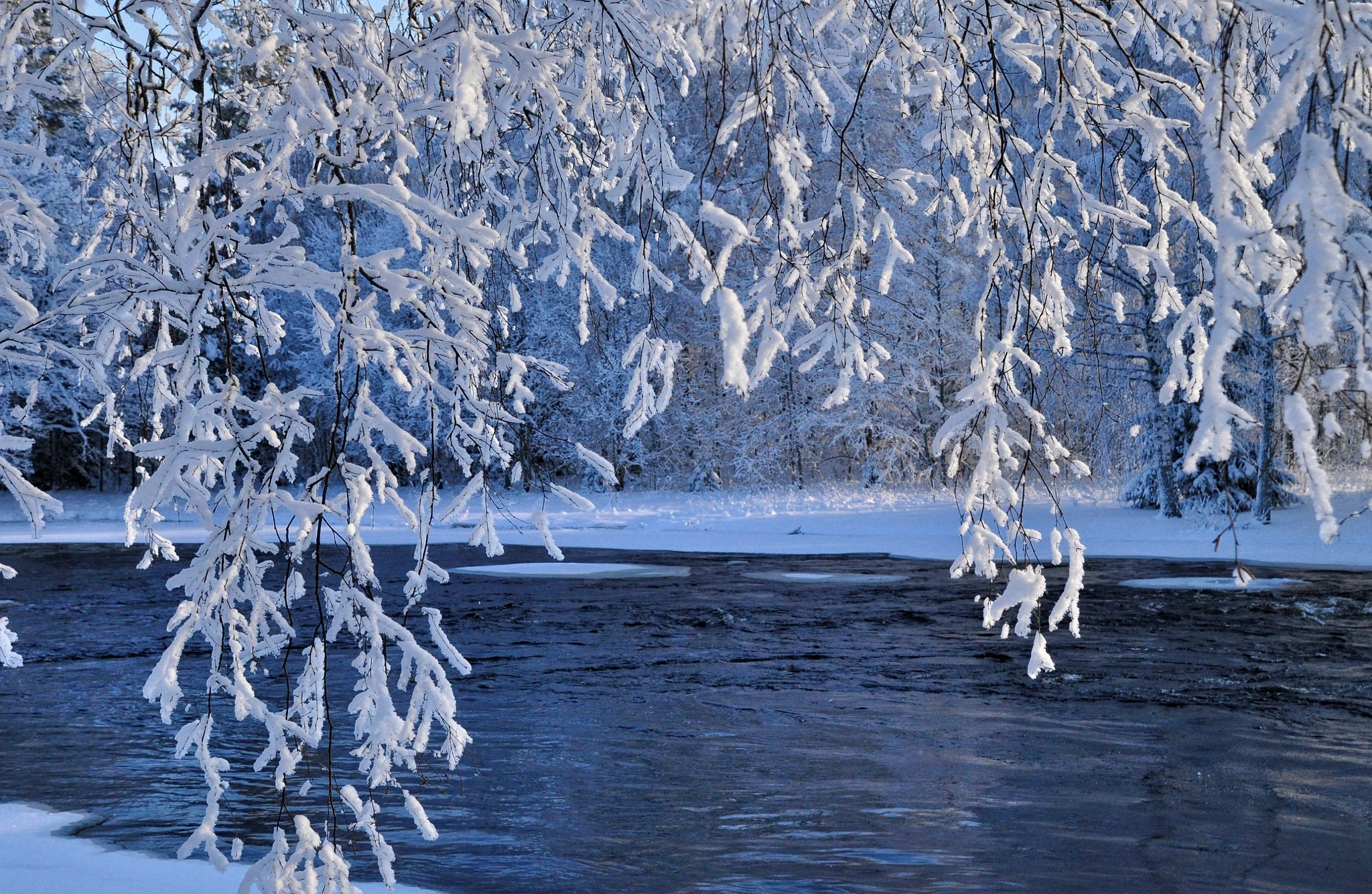 Снег и лед в природе фото