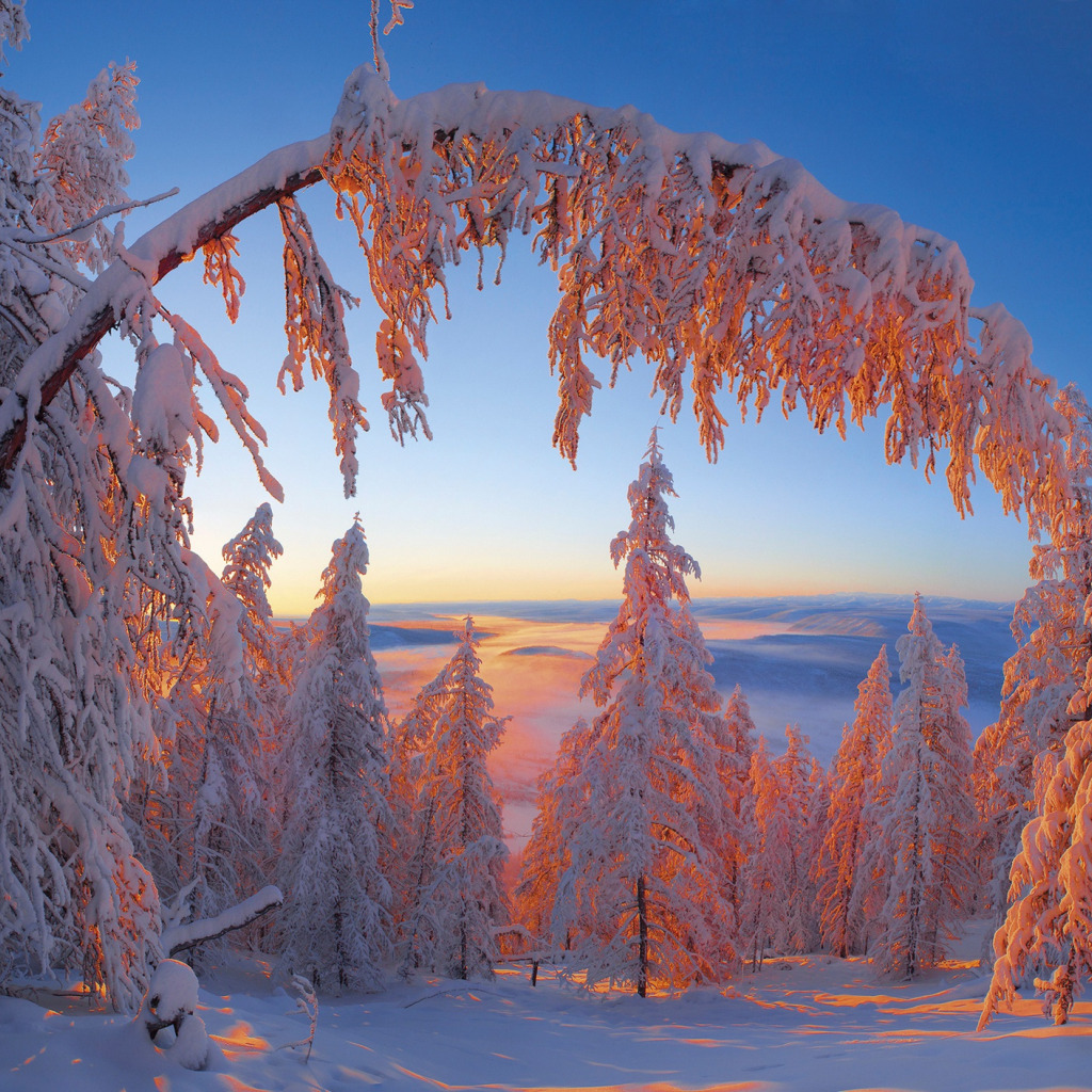 красивая зимняя природа в республике карелия, россия