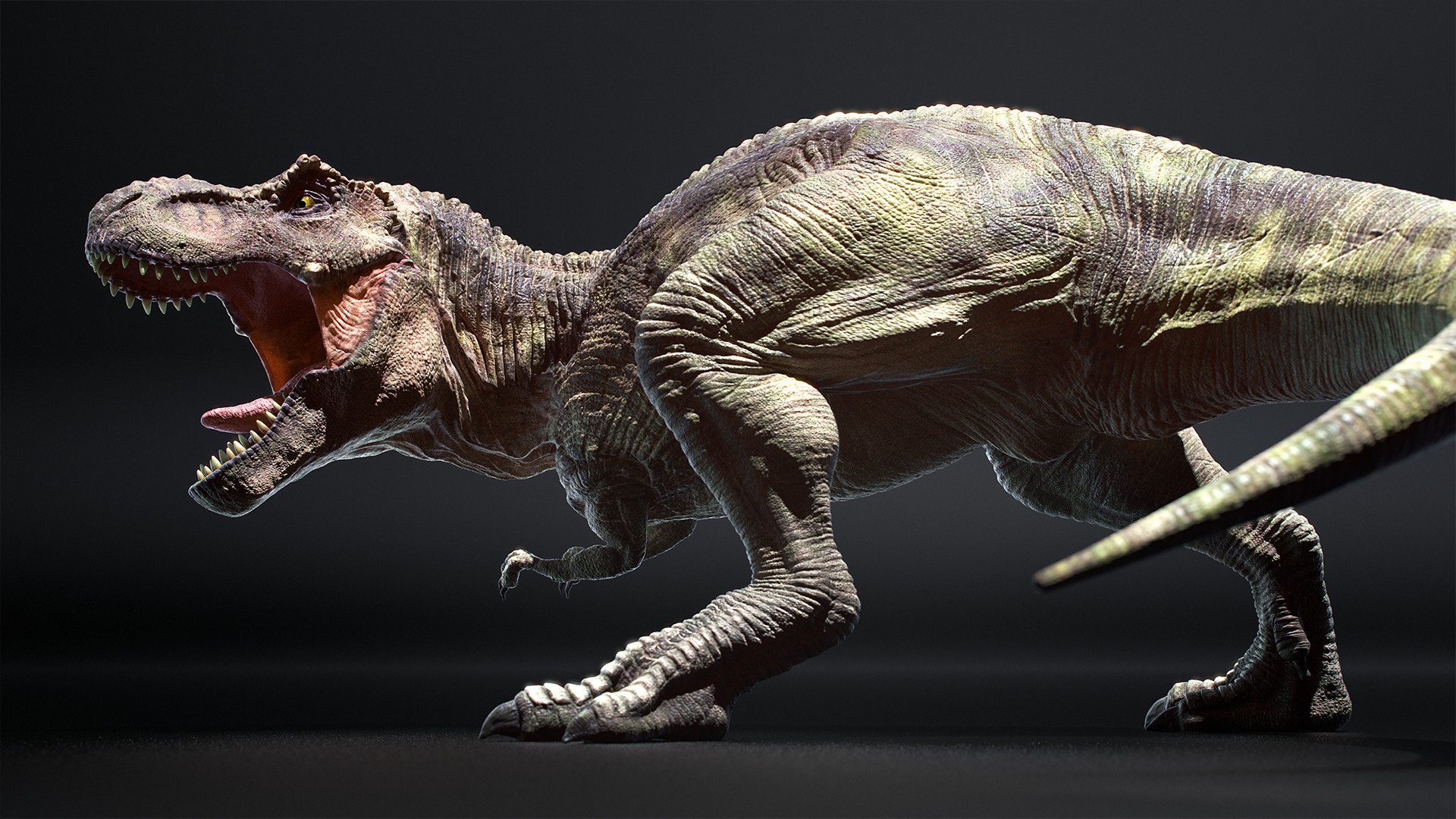 Dynobus rex