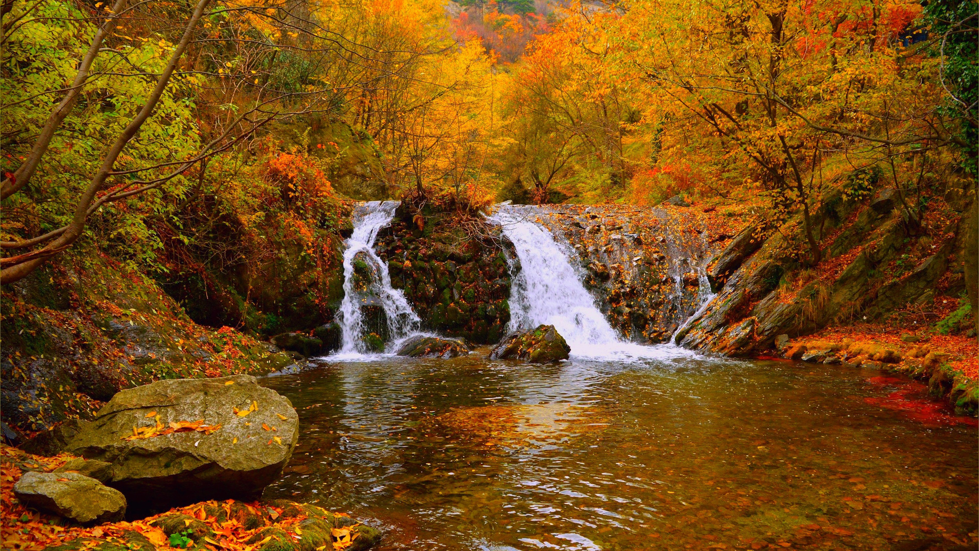 Скачать обои Водопад, Осень, Лес, Fall, Autumn, Waterfall, Forest, раздел п...