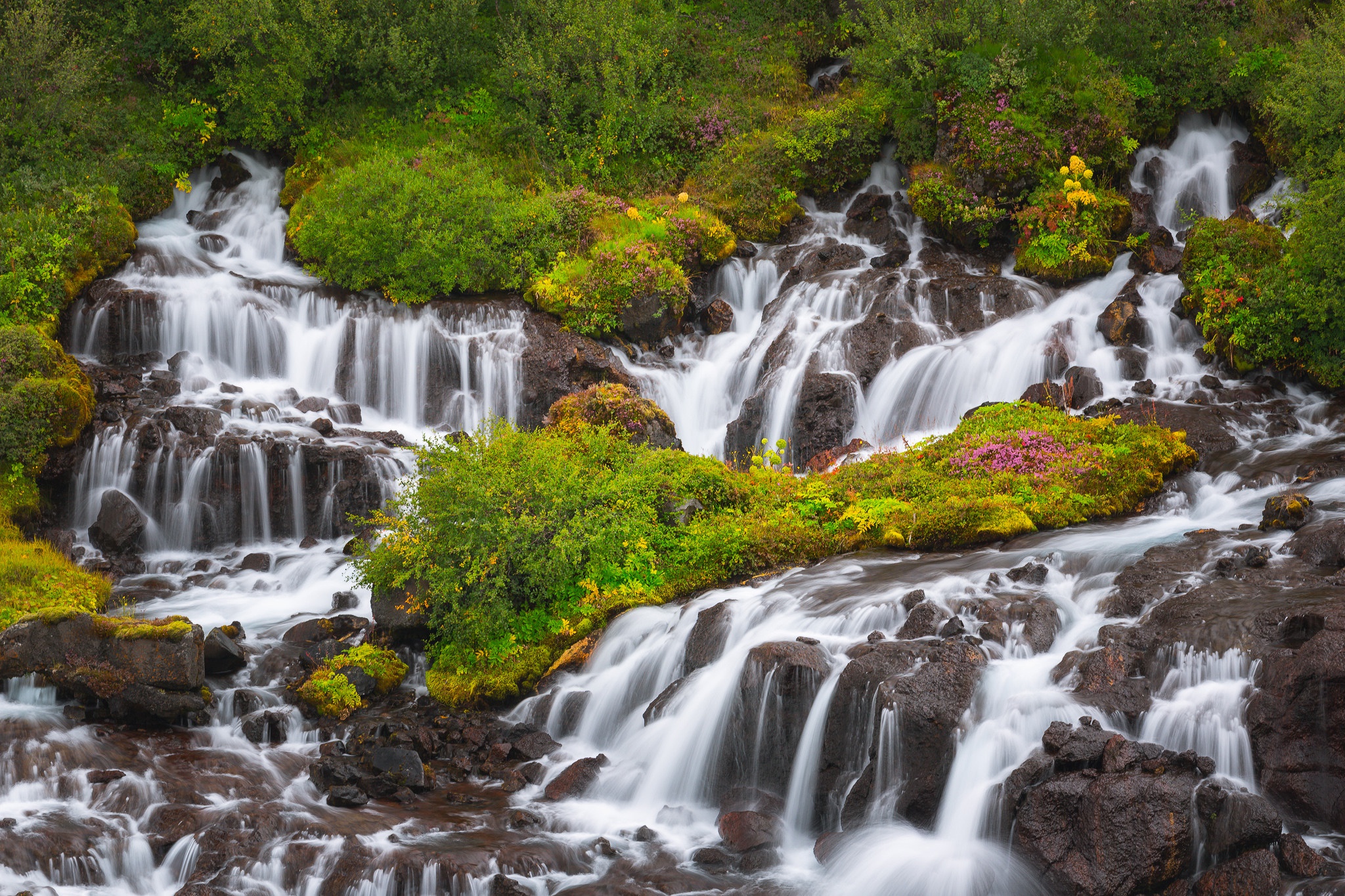Скачать обои водопады, каскад, Исландия, Iceland, Hraunfossa