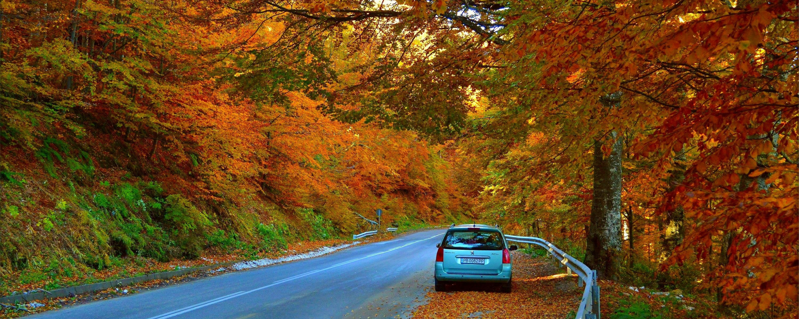 Дорога, Осень, Машина, Car, Fall, Листва, Автомобиль, Autumn, Colors, Road,...