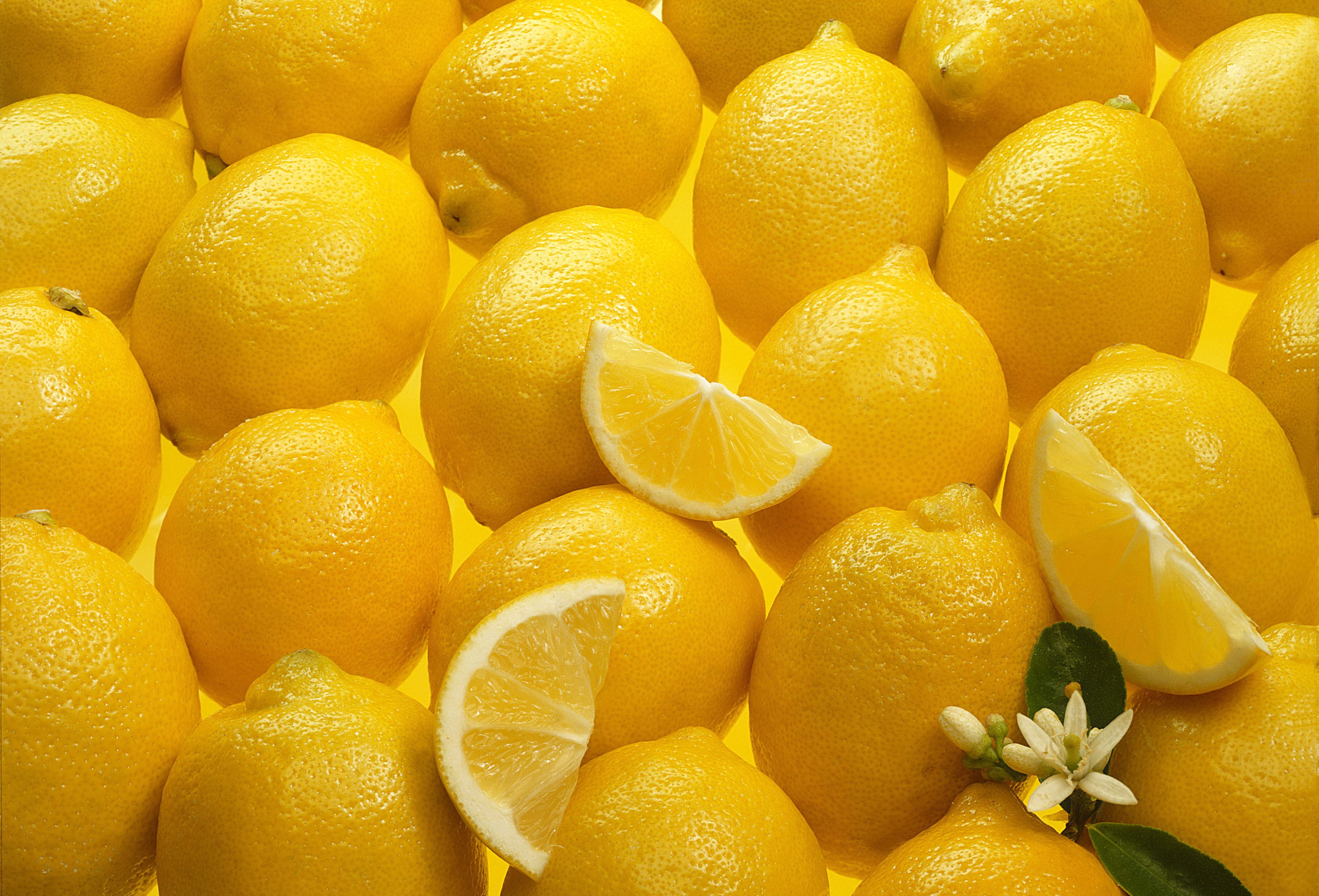 lemon net