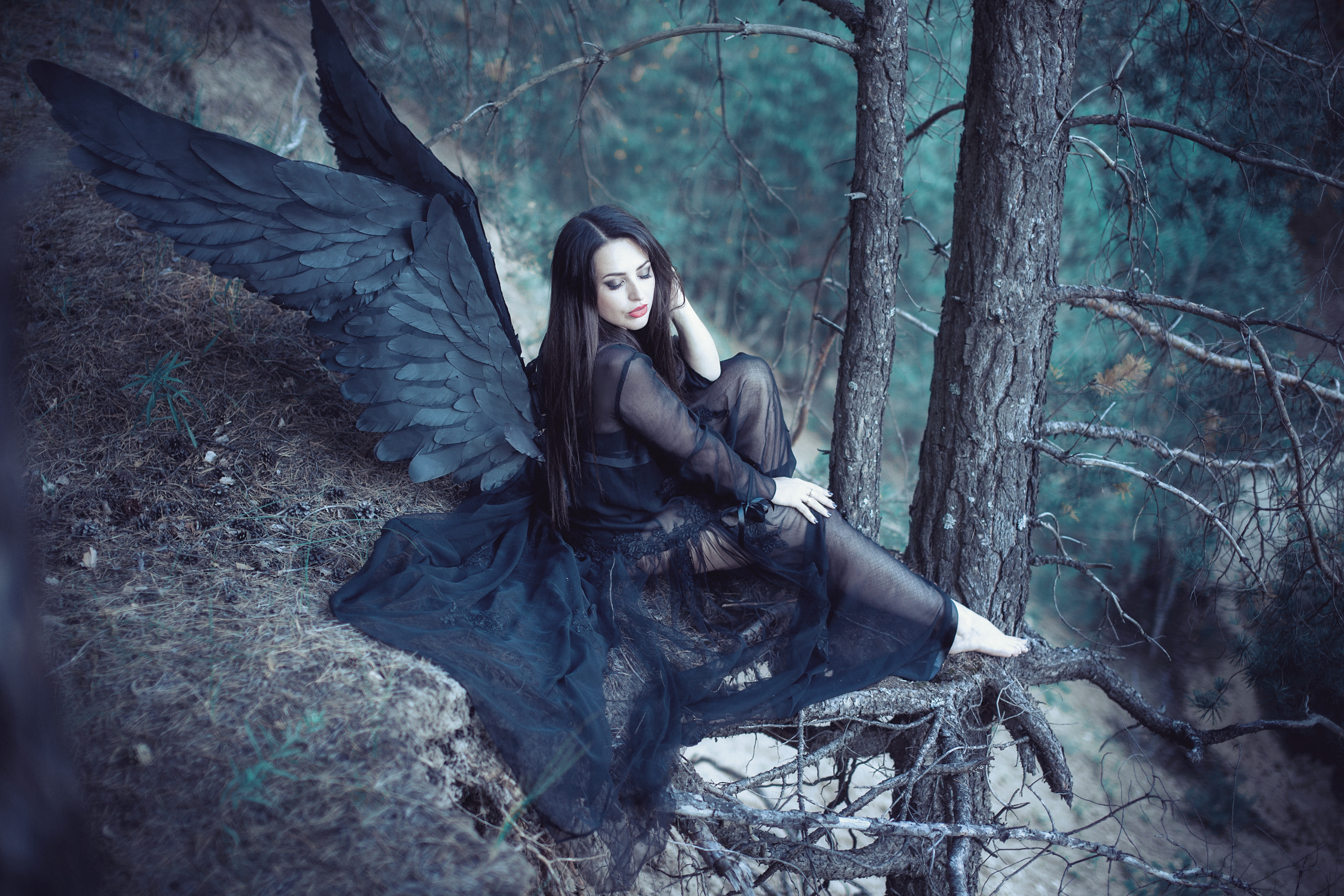 angel, Forest, black wings. 