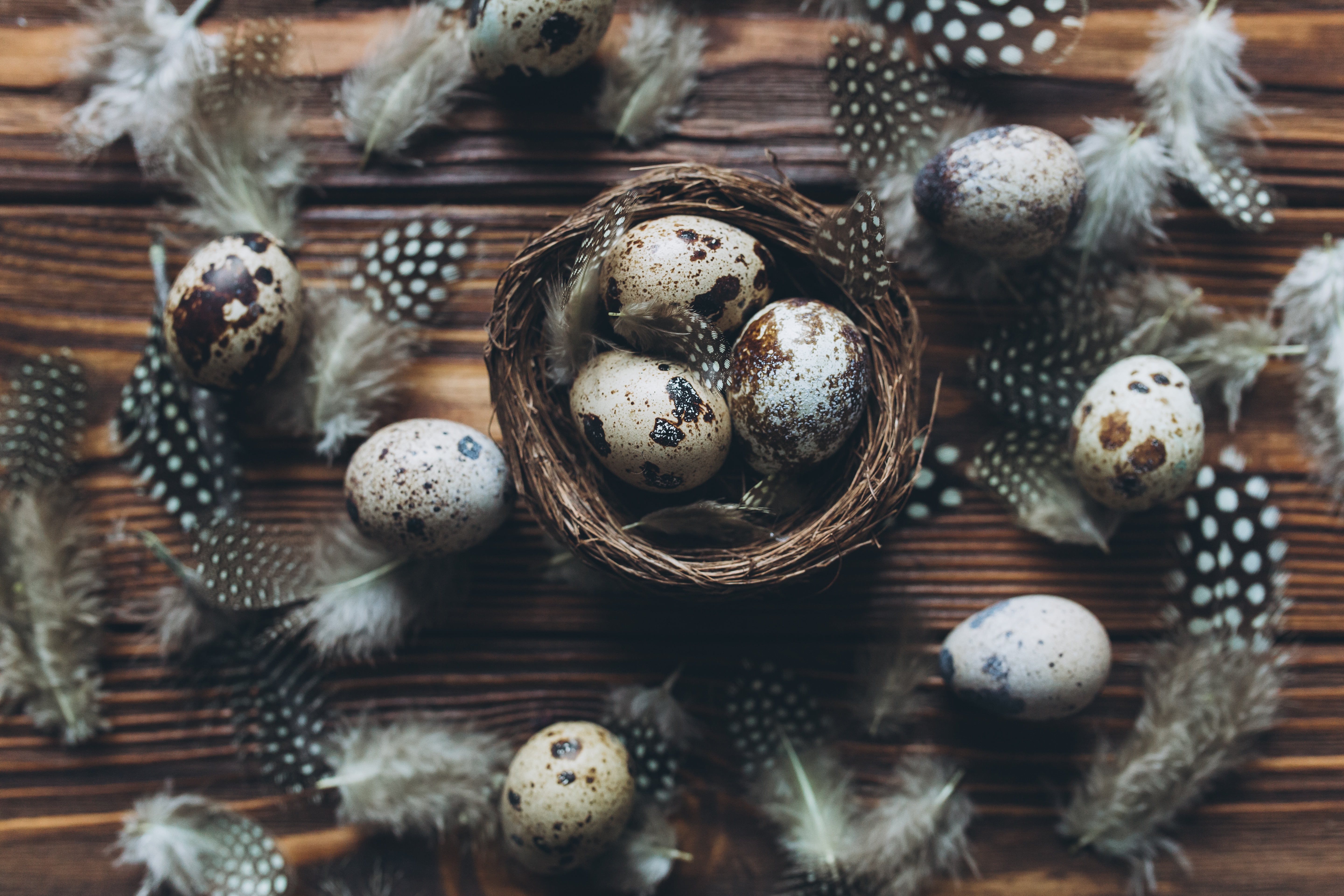 Скачать обои яйца, перья, Пасха, wood, spring, Easter, eggs, decoration, Ha...