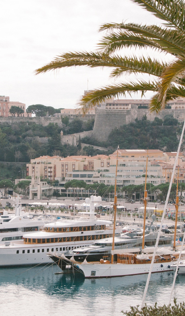 пальма, здания, дома, яхты, Monte Carlo, Монте Карло. 