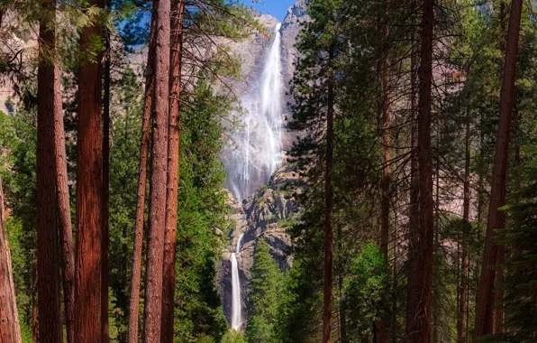 Картинка лес, солнце, деревья, камни, скалы, водопад, Калифорния, США, Йосемити, Yosemite National Park