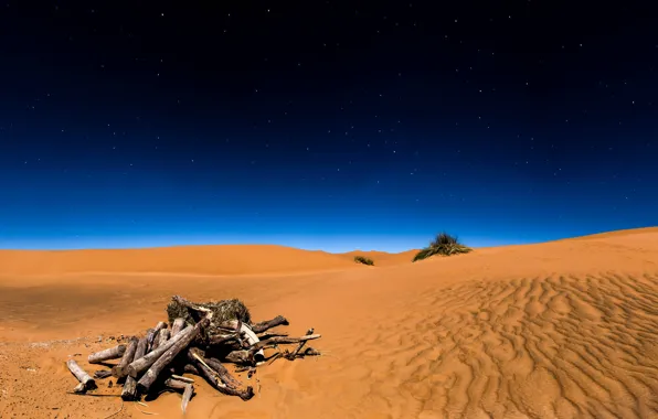Картинка песок, небо, звезды, ночь, пустыня, Sahara, коряги, пустыня Сахара, Сахара