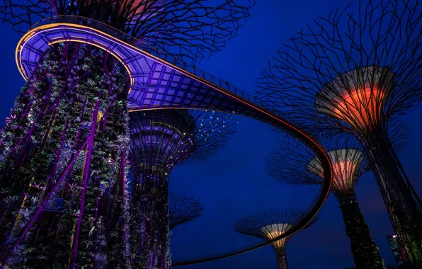 Картинка ночь, дизайн, огни, конструкция, Сингапур, башни, сады, Gardens by the Bay