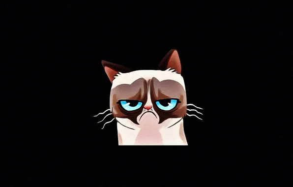Картинка кот, морда, настроение, рисунок, черный фон, голубые глаза, картинка, Соус Тардар, Grumpy Cat, Tardar Sauce, …