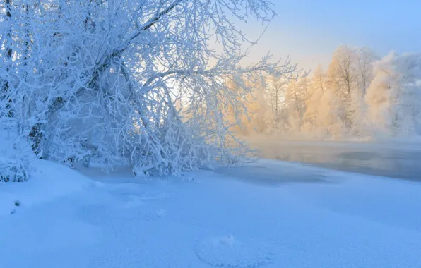 Картинка зима, иней, снег, деревья, река, мороз, Россия