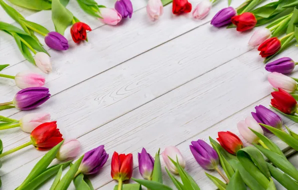 Картинка цветы, colorful, тюльпаны, red, white, wood, flowers, tulips, spring, purple