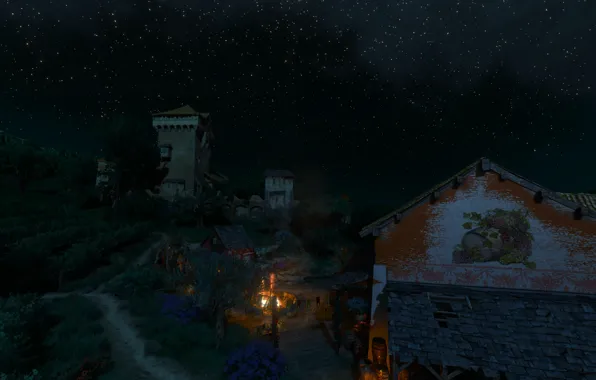 Картинка ночь, звёзды, виноградник, the witcher 3 wild hunt, Туссент