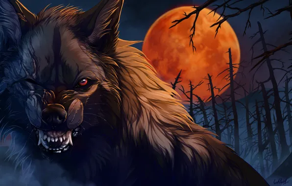 Картинка ночь, волк, шерсть, пасть, клыки, оборотень, art, шрамы, злобный взгляд, кровавая Луна, матерый, мертвый лес, …