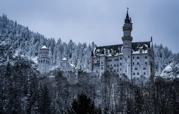 Картинка зима, лес, замок, Германия, Бавария, Germany, Bavaria, Neuschwanstein Castle, Замок Нойшванштайн, Schwangau, Швангау
