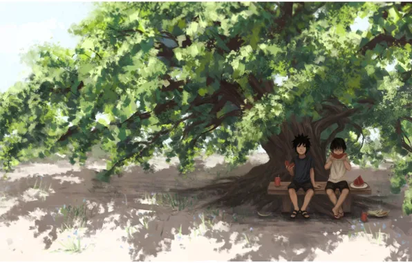 Картинка арбуз, Naruto, друзья, art, tree, Hashirama Senju, Uchiha Madara