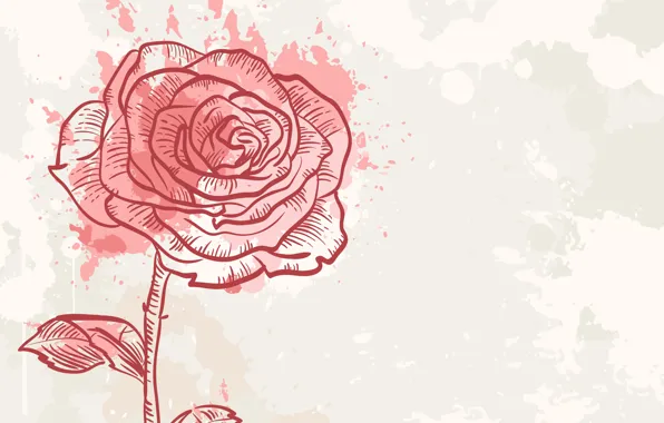 Картинка Роза, Цветок, Фон, Текстура