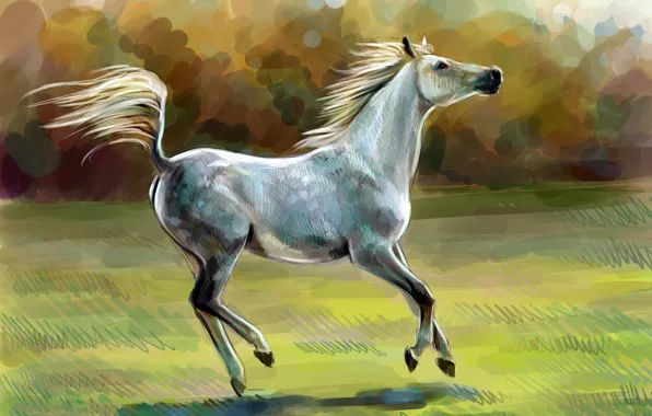 Картинка конь, лошадь, масло, арт, акварель, карандаш, живопись, лошадка, гуашь, wallpaper., картина painting, природа поле солнце, …
