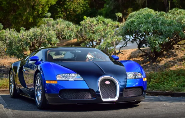 Картинка veyron, bugatti, blue