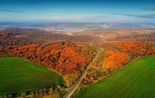 Картинка осень, лес, Панорама, Молдова