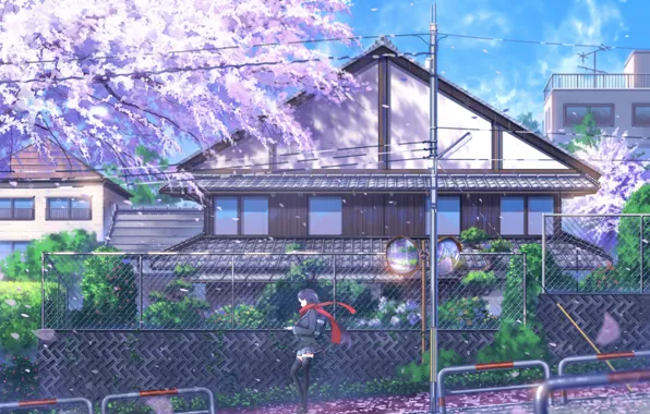 Картинка провода, забор, столб, весна, Япония, сакура, школьница, цветение, art, мини-юбка, голубое небо, черные чулки, деревянный …