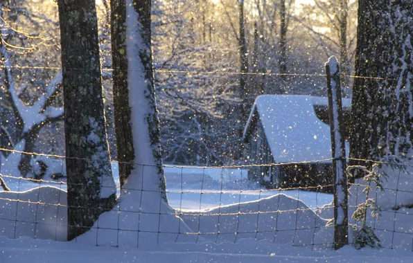 Картинка зима, снег, деревья, дом, сугробы, Maine, Мэн, Новая Англия, New England