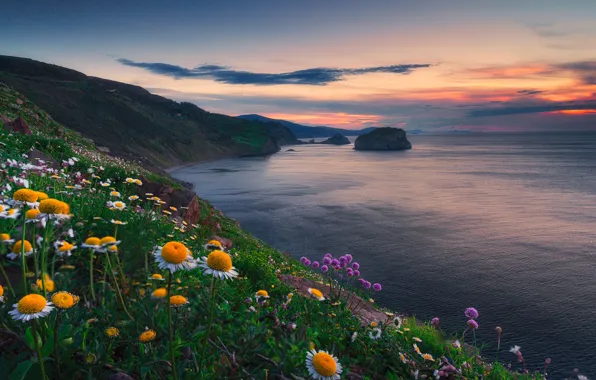 Картинка закат, цветы, океан, побережье, Испания, Spain, Бискайский залив, Bay of Biscay, Bizkaia, Бискайя, Страна Басков, …