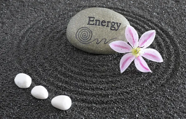 Картинка энергия, цветы, камень, Япония, сад, Japan, stone, Дзен, energy, garden, философия, Zen, sand monk