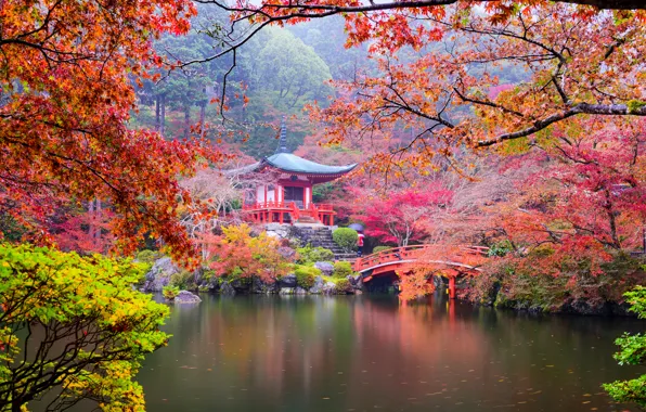 Картинка осень, листья, деревья, ветки, мост, пруд, парк, камни, Япония, лестница, пагода, Киото, кусты, красочно