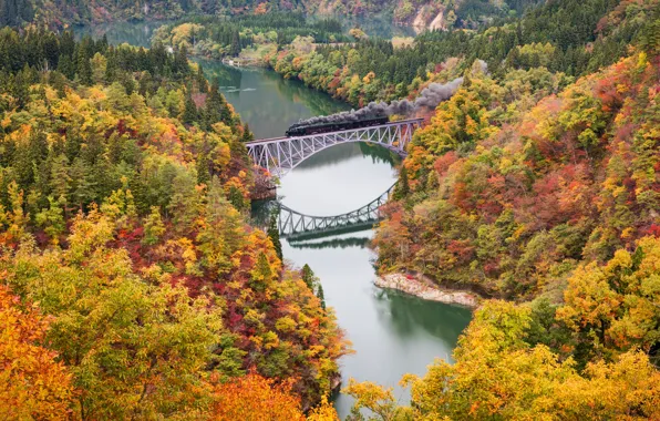 Картинка осень, деревья, мост, река, краски, поезд, паровоз