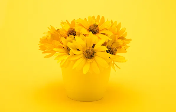 Картинка Цветы, букет, ваза, хризантемы