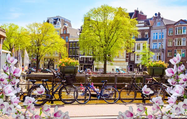 Картинка мост, велосипед, река, весна, Амстердам, цветение, bridge, blossom, Amsterdam, flowers, old, spring, buildings, Netherlands, canal