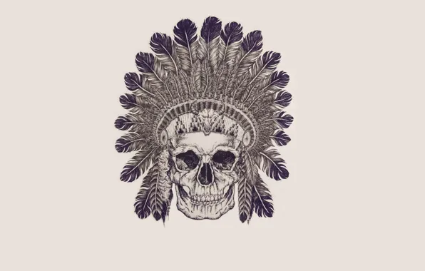 Картинка череп, перья, скелет, skull, индеец, indian
