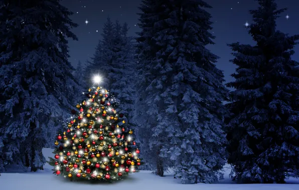 Картинка зима, снег, украшения, снежинки, шары, елки, Новый Год, Рождество, happy, Christmas, night, winter, snow, Merry …