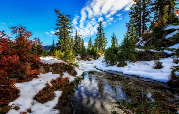 Картинка снег, деревья, озеро, штат Вашингтон, Washington State, Alpine Lakes Wilderness, Озеро Сноу, Snow Lake, Snoqualmie …