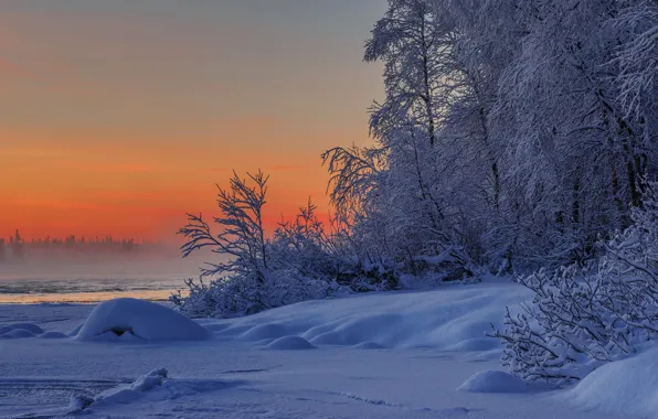 Картинка зима, снег, деревья, природа, река, кусты, Умба, Заполярье