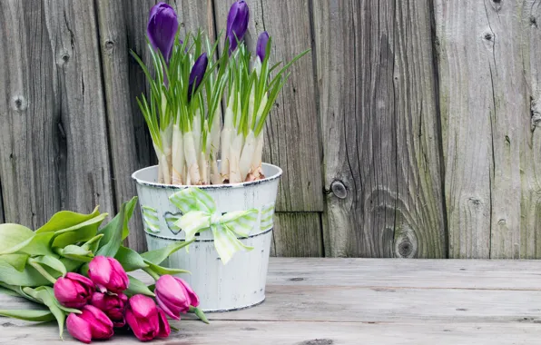 Картинка цветы, букет, крокусы, тюльпаны, wood, flowers, romantic, tulips, spring, purple
