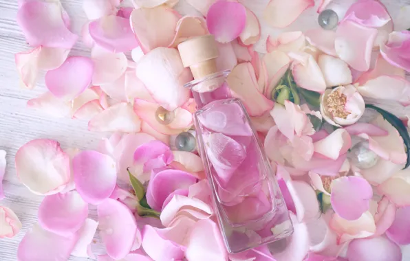 Картинка лепестки, rose, pink, petals, розовые розы, spa, oil