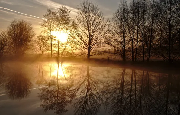 Картинка деревья, пруд, отражение, восход, рассвет, весна, утро