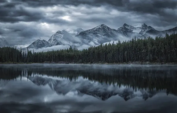 Картинка лес, горы, озеро, отражение, Канада, Альберта, Banff National Park, Alberta, Canada, Национальный парк Банф, Канадские …