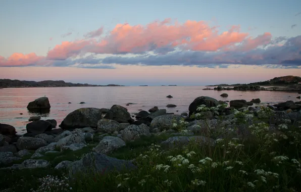 Картинка море, побережье, Норвегия, Norway, Skadbergsanden