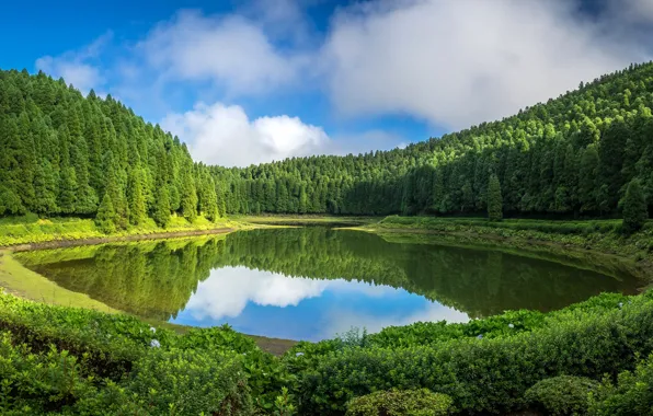 Картинка зелень, лес, небо, трава, вода, солнце, облака, деревья, озеро, отражение, Португалия, кусты, Azores, Sao Miguel