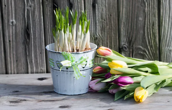 Картинка цветы, букет, colorful, крокусы, тюльпаны, wood, flowers, romantic, tulips, spring