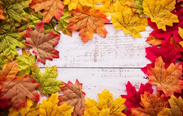 Картинка осень, листья, фон, дерево, wood, background, autumn, leaves, осенние, maple