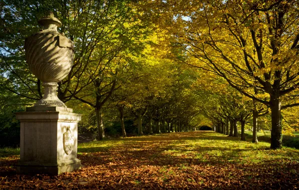 Картинка осень, деревья, парк, Англия, аллея, England, Cambridge, Кембридж, Tree Lined Avenue, Anglesey Abbey, Аббатство Энглиси