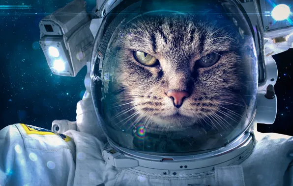 Картинка fantasy, cat, space suit