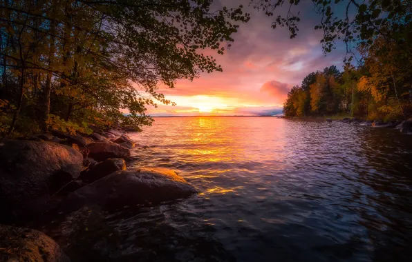 Картинка осень, лес, деревья, закат, озеро, Финляндия, Finland, Тампере, Tampere, Lake Näsijärvi, Озеро Нясиярви