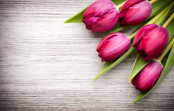 Картинка цветы, букет, fresh, wood, pink, flowers, beautiful, tulips, розовые тюльпаны