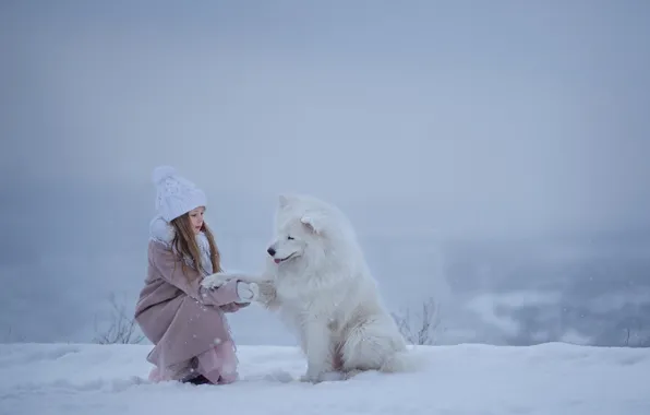 Картинка зима, снег, собака, девочка, друзья, самоед